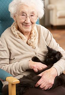 Senior Home Care Services - In Home Senior Care